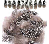 Sept-Lot De 100 Plumes De Pintade Pour Bricolage, 4 À 10 Cm, Plumes Naturelles Mouchetées, Plumes Pour Bricolage, Boucles D'oreilles, Mariage, Attrape-Rêves, Accessoires De Cheveux, ?Ufs De Caille