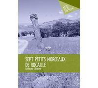 Sept petits morceaux de rocaille