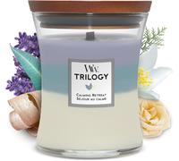 Sept-Trilogy Bougie Jarre Moyenne Parfumée Avec Mèche Pluswick, Séjour Au Calme