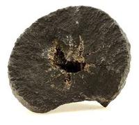 SEPTARIA - Pierre Naturelle en Provenance de France, Arnayon - Roche sédimentaire formée par des concrétions de calcite et d'aragonite 3609.0 ct - Certificat d'Authenticité Inclus 90 x 75 x 45 mm G