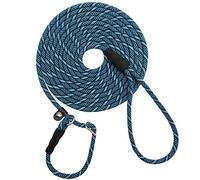 SEPXUFORE Longue Laisse réfléchissante Anti-étouffement pour Chien de Taille Moyenne et Petite (6,1 m, Bleu)