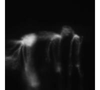 Sequence/Structure