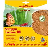 sera Catappa Leaves Taille M 16 - 20 cm 10 Unités