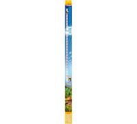 sera LED X-Change Tube Blanc