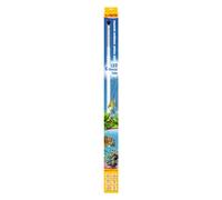 sera LED Neutral Brilliant White 820 mm/12,3 W 1 Unité