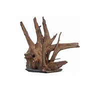 sera Nitrite-Moins Traitement de l'eau 100 Unités