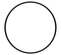 sera pondu O-Dichtring für moteur de bloc pour PP 12000, 1 pièce.