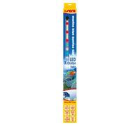 SERA Tube LED X-Change Marine Blue Sunrise de 13W pour Aquarium 520mm,