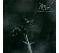 Seraphine - Far Gone Gleam by Paragon of Beauty (2006-09-04)