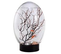 Serbello de poisson de bureau - Petite lumière LED, design compact léger | C'était amusant planteur aquaponique, paysages de bureau à la maison, rupture offrant une durabilité, un bol de poisson qui