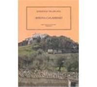 Serena Calamidad Josâe Domingo Vilaplana Guerrero (Auteur)