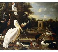 SERENDIPITP Art Imprimé Image Art Mural en Toile De nombreux types d'oiseaux différents dans une piscine dans un parc par Melchior De Hondecoeter Pour les Décorations pour la Maison 60x90cm
