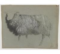 SERENDIPITP Image sur Toile Art Imprimé Image Art Mural en Toile Étude d'une brebis crayon graphite et craie sur papier gris-vert par Albert Bierstadt Pour les Décorations pour la Maison 60x90cm