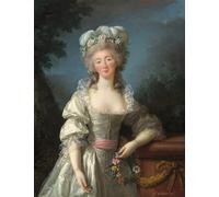 SERENDIPITP Image sur Toile Art Imprimé Image Art Mural en Toile Madame Du Barry par Elisabeth Louise Vigée Lebrun Impression Peinture Pour les Décorations pour la Maison 60x90cm