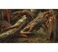 SERENDIPITP Image sur Toile Impression Tableaux Peinture sur Toile Arbre tombé d'Alexandre Calame Nordique Peinture Pour la Décoration de la Chambre à Coucher 60x90cm