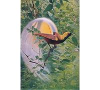 SERENDIPITP Image sur Toile Impression Tableaux Peinture sur Toile illustration d'oiseau de paradis de la faune du monde par Wilhelm Kuhnert Pour la Décoration de la Chambre à Coucher 60x90cm