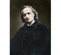 SERENDIPITP Peinture Poster Affiche Décorative Graffiti Art Mural Charles Baudelaire poète français par Etienne Carjat Peinture D'Art D'Affiche Pour les Décorations pour la Maison 60x90cm