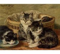 SERENDIPITP Peinture Poster Affiche Décorative Graffiti Art Mural Quatre chatons par Henriette Ronner knip Peinture D'Art D'Affiche Pour les Décorations pour la Maison 60x90cm