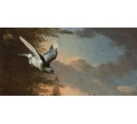 SERENDIPITP Peinture Poster Impression Tableaux Graffiti Art Mural Détail de la Ménagerie par Melchior De Hondecoeter Moderne Art Murale Impression Pour la Décoration Murale 60x90cm