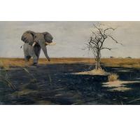 SERENDIPITP Peinture Poster Impression Tableaux Graffiti Art Mural l'éléphant solitaire de Wilhelm Kuhnert Moderne Art Murale Impression Pour la Décoration Murale 60x90cm