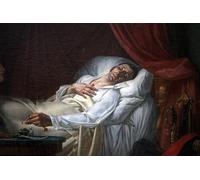 SERENDIPITP Portrait Tableaux Tableau Toile Affiches d'Art la mort du général Moreau par Louis Charles Auguste Couder Peinture Décorative sur Toile Pour la Décoration Murale 60x90cm