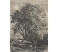 SERENDIPITP Portrait Tableaux Tableau Toile Affiches d'Art le saule par le célèbre peintre Peinture Décorative sur Toile Pour la Décoration Murale 60x90cm