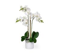 Serene Spaces Living 3 orchidées phalaenopsis Blanches réalistes en Pot, Fleurs artificielles en Pot - Beau Vase d'entrée, décoration de Table d'entrée, Mesure 66 cm de Haut et 12,7 cm de diamètre