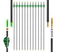 SERfawnCH Lot de 12 Flèches Carbone pour Chasse & Cible - 80cm, Pointes Amovibles pour Arc Composite/Recourbé