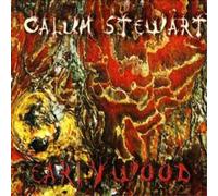 Sergei Rachmaninov Piano Concerto No. 2 (Rubinstein) (CD) Album