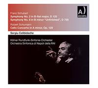 Sergiu Celibidache