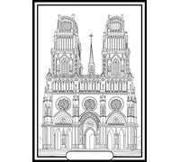 SERICOLOR Tableau velours a colorier La Cathedrale d Orléans