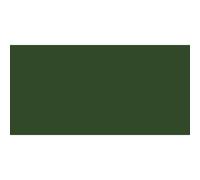 Série De 75ml D'amsterdam Expert Acrylique 2 Sap Green