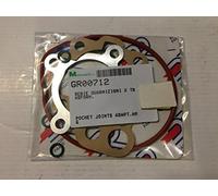 Série Joints Groupe Thermique pour cylindre DR pour moteur minarelli aM6