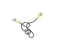 Serien Lighting Poppy Ceiling/Wall 2 Decken-/Wandleuchte, bras noir, diffuseurs ceramic