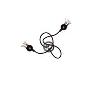 Serien Lighting Poppy Ceiling/Wall 2 Decken-/Wandleuchte, bras noir, diffuseurs violet