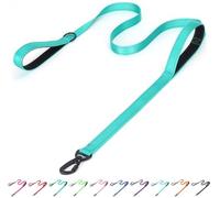 Serijoars Laisse réfléchissante pour chien en nylon - Laisse réfléchissante rembourrée robuste à deux poignées pour dressage de sécurité nocturne pour chiens de petite, moyenne et grande taille (bleu