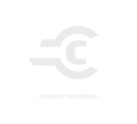 Seringue de vidange TLO021 McCULLOCH 000577616821