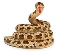 Serpent en Peluche Halloween 78, 7 Pouces Simulation Serpent en Peluche avec Langue tirée Coton rempli en pour Farce de fête, en Marron en