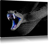 Serpent majestueux, nature, Etats-Unis peinture sur toile, d'énormes photos XXL complètement encadrés par civière. d'impression d'art sur l'image de mur avec cadre. Moins cher que la peinture ou une peinture à l'huile, pas une affiche , Leinwand Format:120x80 cm