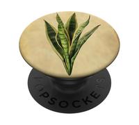 Serpent Plante Vintage Illustration Scientifique Plante PopSockets PopGrip Adhésif