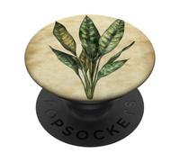 Serpent Plante Vintage Illustration Scientifique Plante PopSockets PopGrip Adhésif