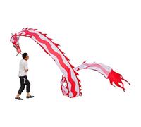 Serpentins de Danse imprimés Dragon, Ruban Flottant pour Exercices de tête de Dragon, Ruban de Danse du Dragon pour Sports Chinois, équipement de Fitness en Plein air(White,8m/26.2ft)