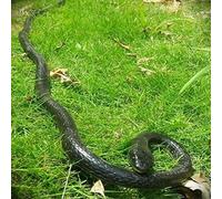 Serpents réalistes en caoutchouc de 47 pouces, cadeau effrayant et amusant, créatures incroyables, serpents à chaîne, jouets pour serpents de la forêt tropicale, serpents de la vie sauvage