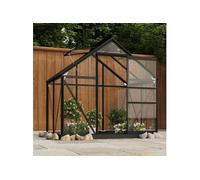Serre en verre Anthracite 155x103x191 cm Aluminium