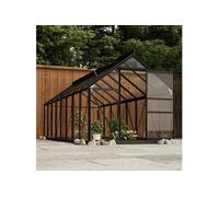 Vidaxl Serre En Verre Anthracite 155x395,5x191 Cm Aluminium