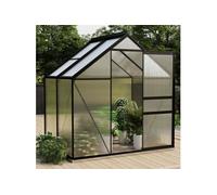 vidaXL Serre Anthracite Aluminium 2,47 m² 312065