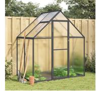 vidaXL Serre avec cadre de base Aluminium Anthracite 169x114x195 cm