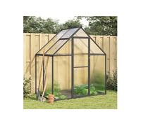 vidaXL Serre avec cadre de base Aluminium Anthracite 169x114x195 cm