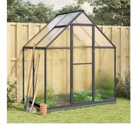 Vidaxl Serre Avec Cadre De Base Anthracite 169x114x202 Cm Aluminium
