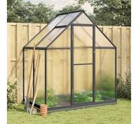 Serre avec cadre de base anthracite 169x114x202 cm aluminium anthracite et transparent G